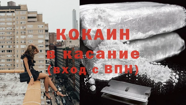 прущие грибы Аркадак