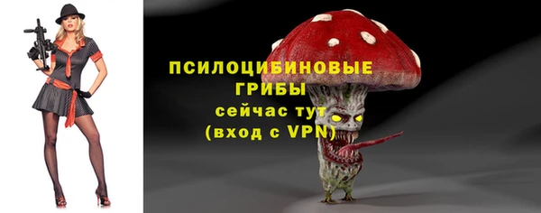 гидропоника Арсеньев