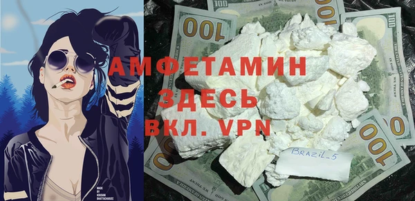прущие грибы Аркадак