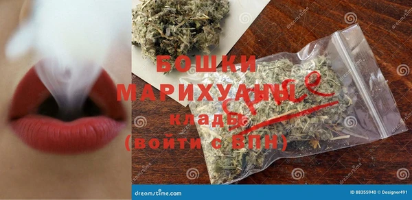 прущие грибы Аркадак