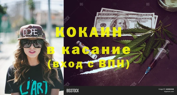 прущие грибы Аркадак