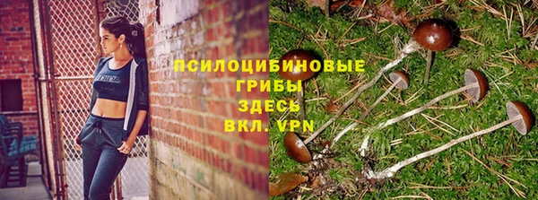 гидропоника Арсеньев