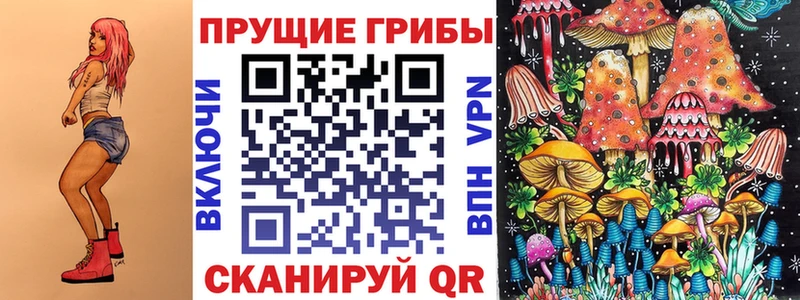 блэк спрут tor Тырныауз Псилоцибиновые грибы прущие грибы